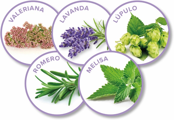 Beaphar No Stress Gato Difusor + Recambio 30ml