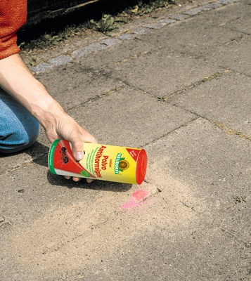 Loxiran Polvo Antihormigas 250g