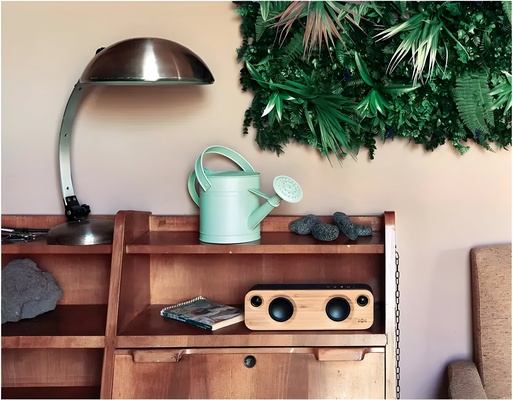 Regadera Metalica Verde 3 Lts