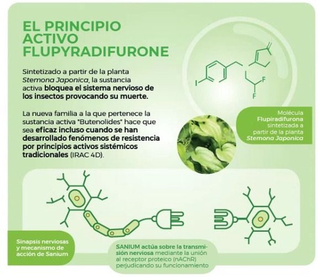 Pistola Insecticida Sistemico Sanium 800 Ml