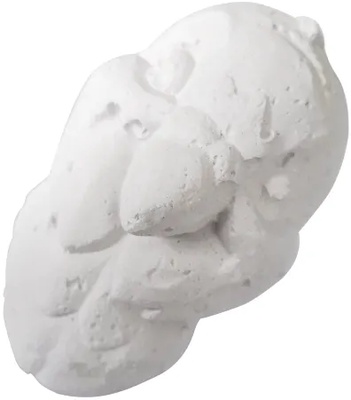 Bloque de Calcio para Loros