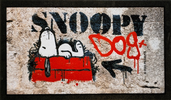 Felpudo Goma Peanuts Grafiti Dog 40x68 Felpudo Goma Peanuts Grafiti Dog 40x68