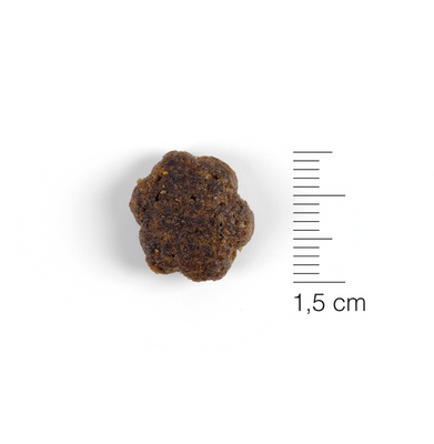 Pienso Perros Natura Diet Grain Free Salmon & Coconut 3kg