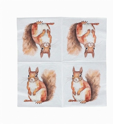 Servilletas Papel Ardilla 33x33cm  20 uds
