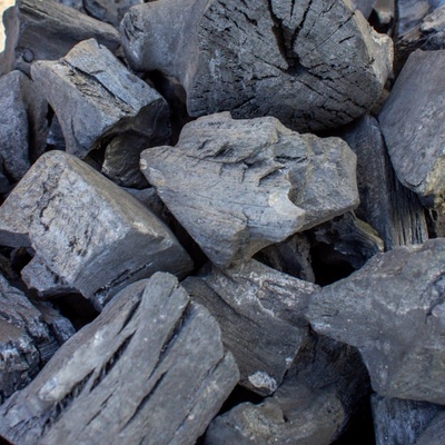 Bolsa de Carbon Vegeta Argentino Quebracho 3 Kg