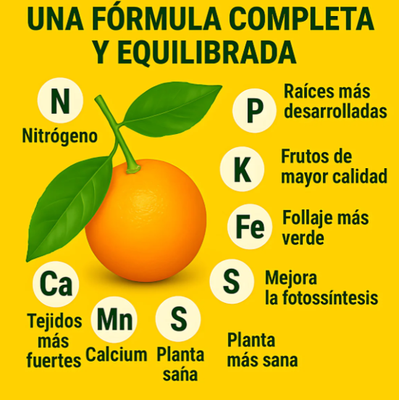 Abono Citricos Fertibono 2 Kg